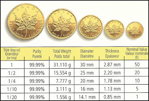 Canadian gold maple leaf coins, relative sizes