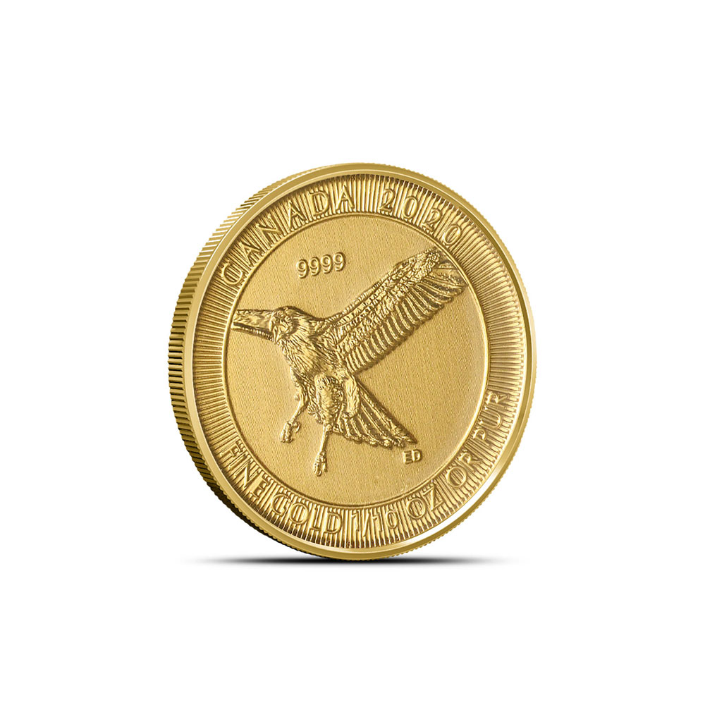 Buy 2020 1/10 oz Canadian Gold Red-Tailed Hawk Coin | BullionMax ™